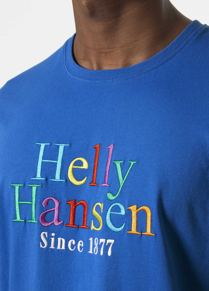 Helly Hansen men's t-shirt CORE GRAPHIC T 53936 543