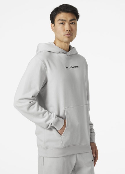 HELLY HANSEN CORE GRAPHIC SWEAT HOODIE 53924 825