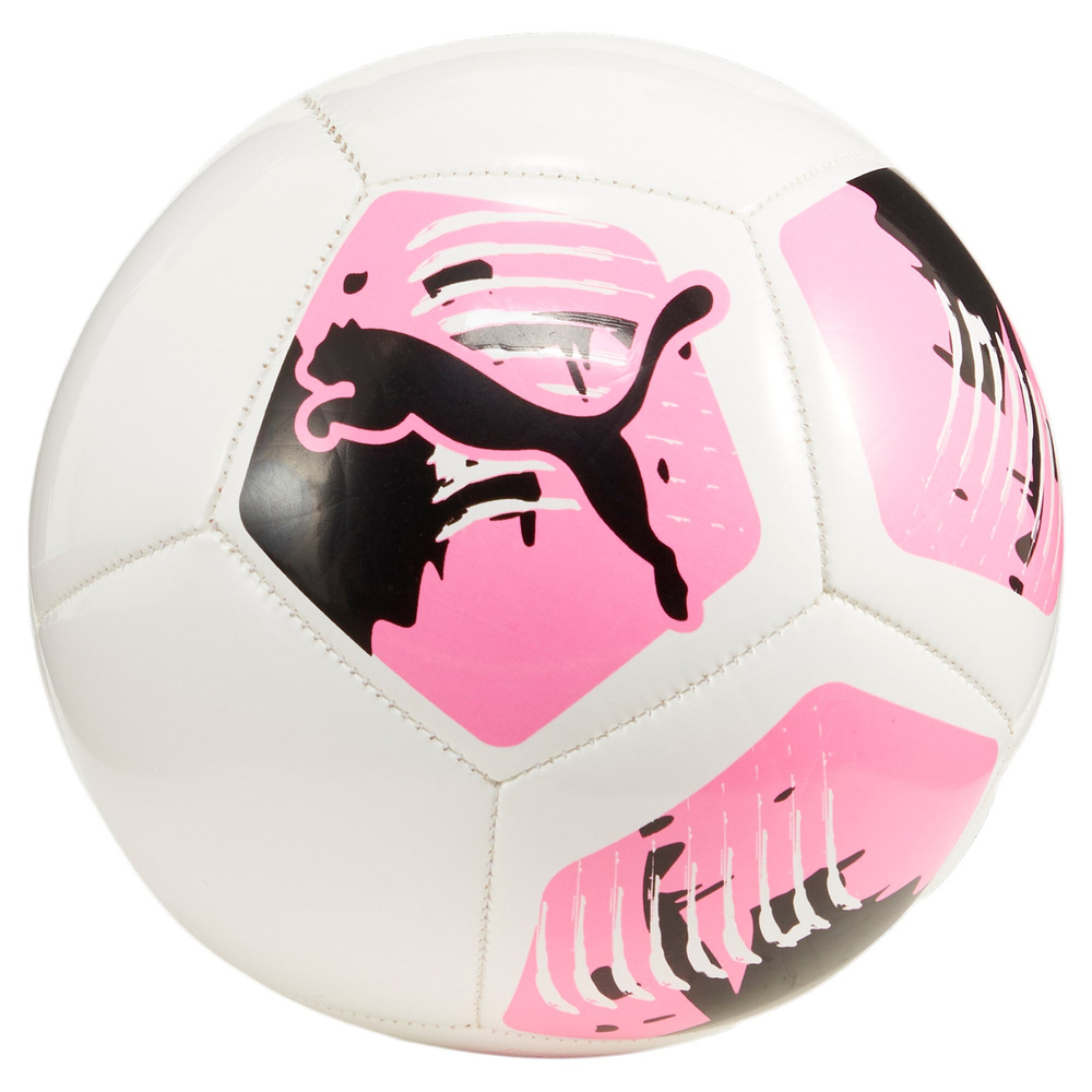 Puma ball BIG CAT MINI 084215 01