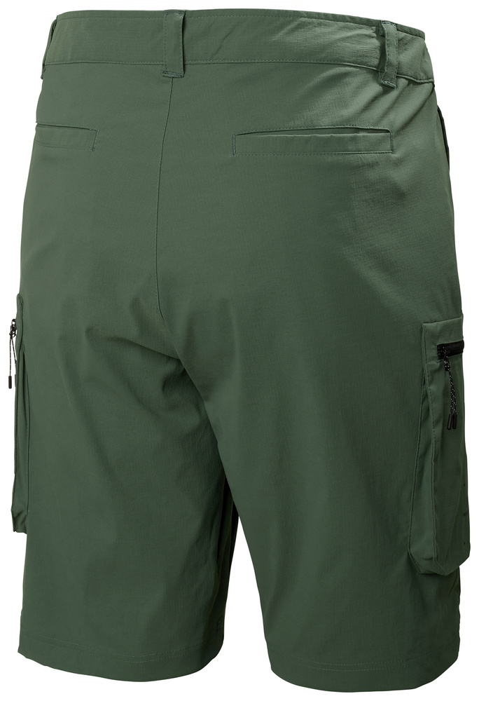 Helly Hansen hiking shorts MOVE QD SHORTS 2.0 53977 476