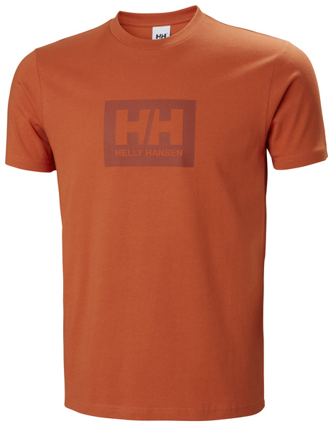 Helly Hansen men's T-Shirt BOX T 53285 179