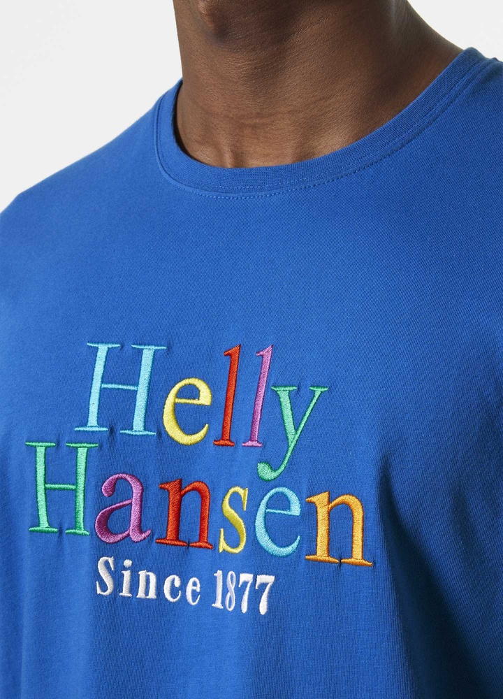 Helly Hansen men's t-shirt CORE GRAPHIC T 53936 543